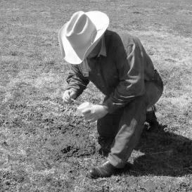 Farmer in field taking manure sample