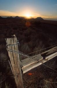 Wooden fence post at dusk