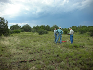 Researchers taking samples in an open field