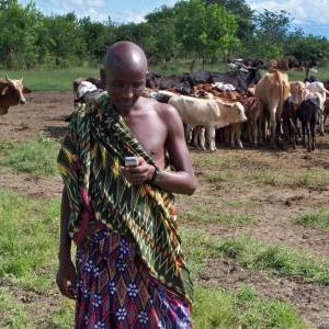 Pastoralist in field in Tanzania