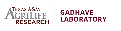 Logo of Gadhave laboratory