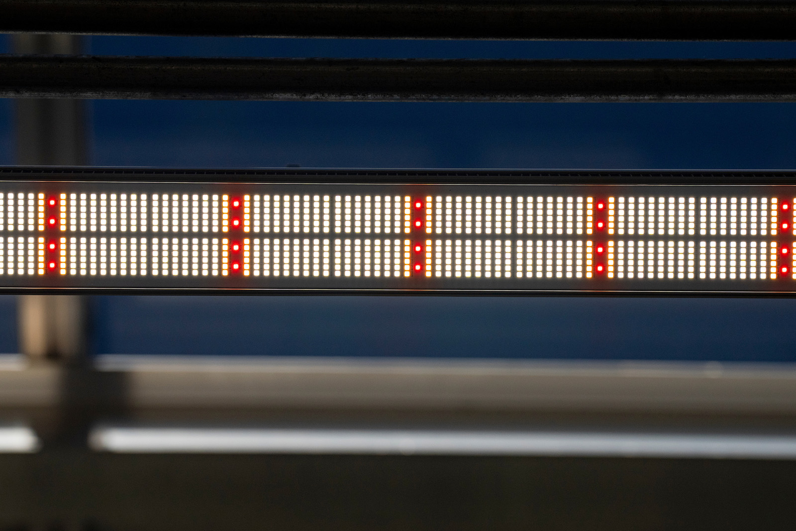 LED light strip close-up showing individual LEDs in pattern of columns and rows