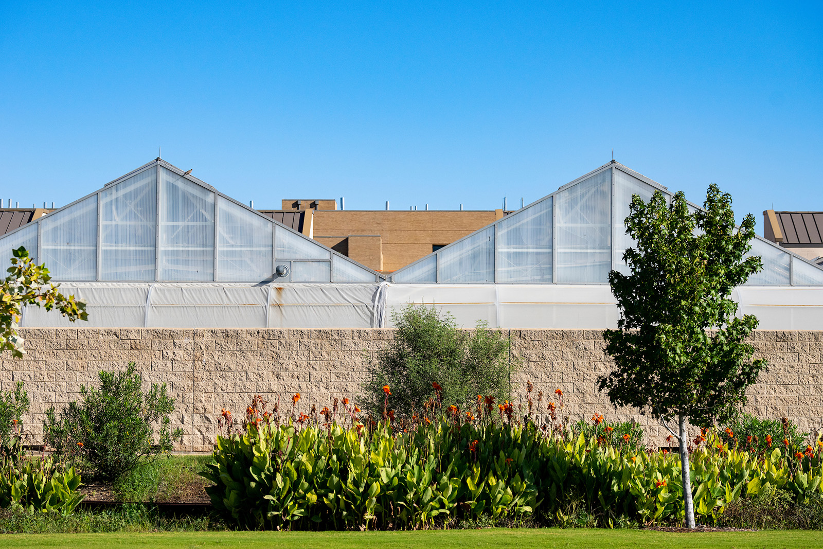 Outdoor building facade of the Borlaug Center for Southern Crop Improvement