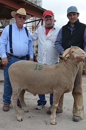 High selling ram on the 2015-2016 test was TAES 9107. He sold to Stamatakis Sheep of Utah for $1350. Pictured (l to r) Charles Taylor, Tracy Stamatakis, Jake Thorne. (photo credit: Steve Byrns