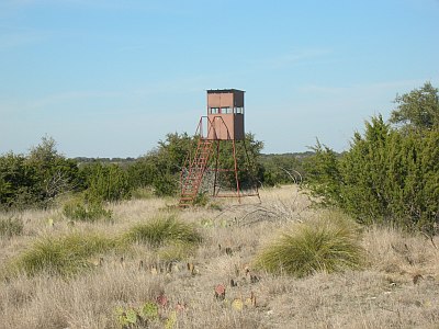 Sonora Hunting Blind