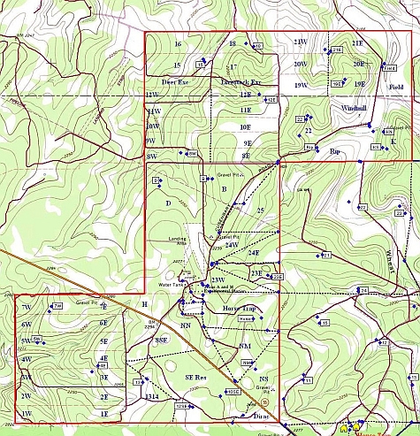 Sonora Topographical Map
