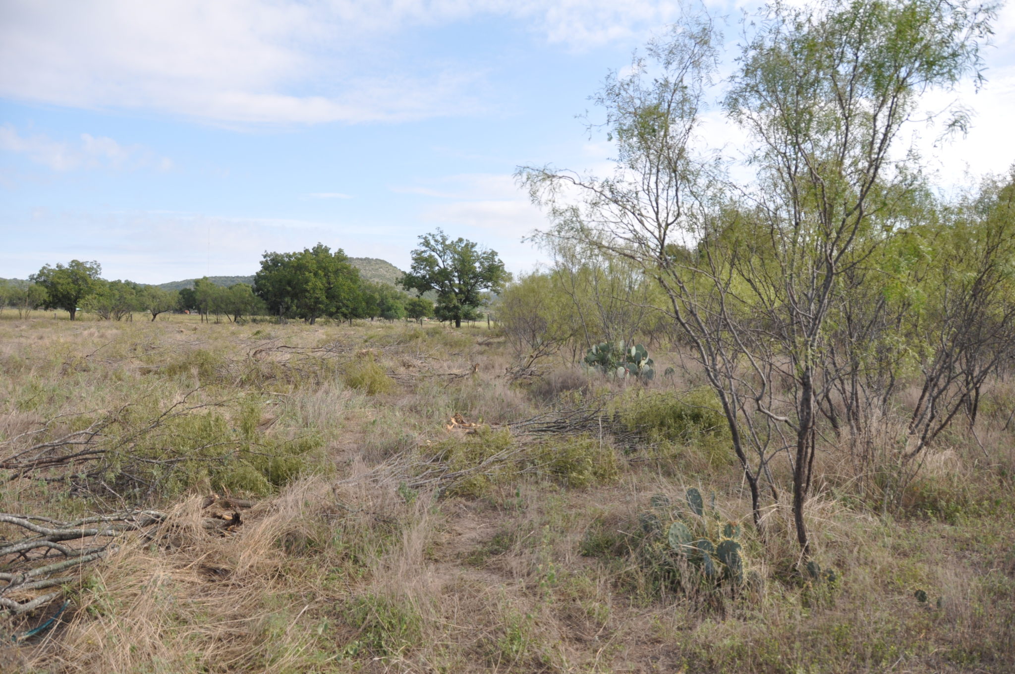 Rangeland Management - Texas A&m Agrilife Center At Uvalde