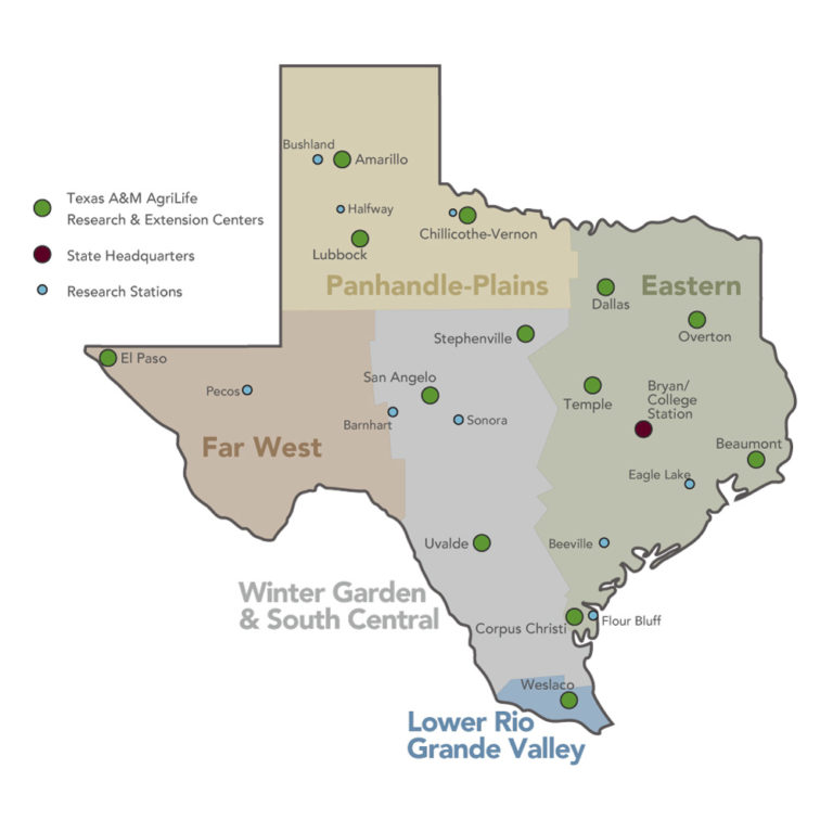regions of Texas showing how districts are divided